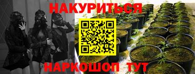 ALPHA PVP Лесосибирск
